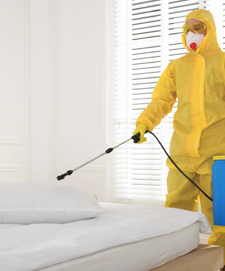 Professional Pest Control Team in Alberton